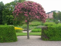 DSCN4783.JPG